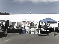 Alex Madonna 2009 Home Show