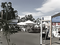 Alex Madonna 2009 Home Show