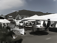 Alex Madonna 2009 Home Show